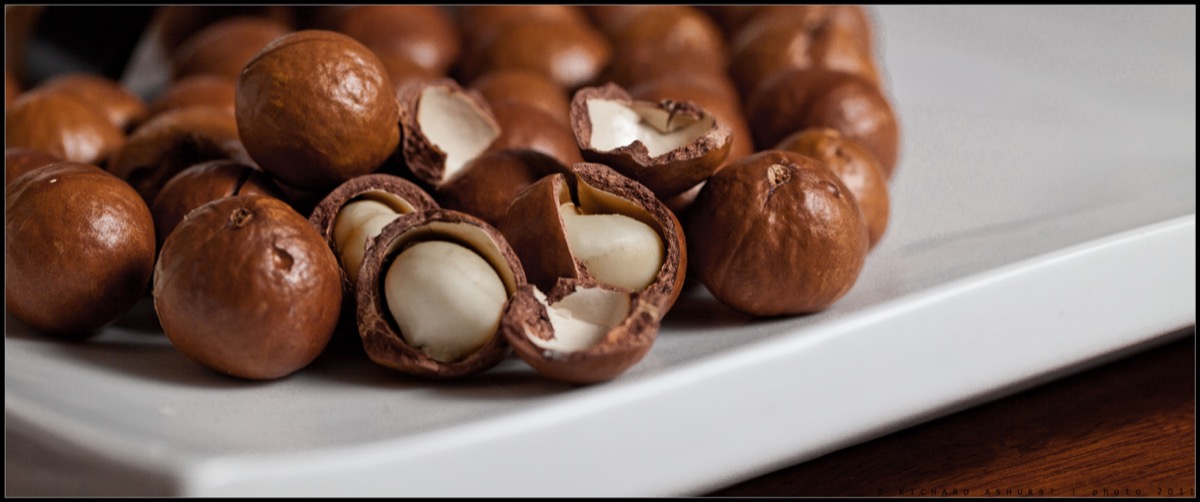 Macadamia nuts showing their shells and kernels